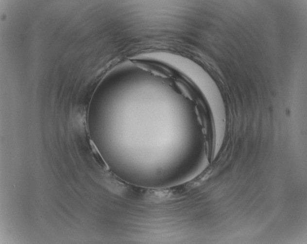 X0000076260329200610122236