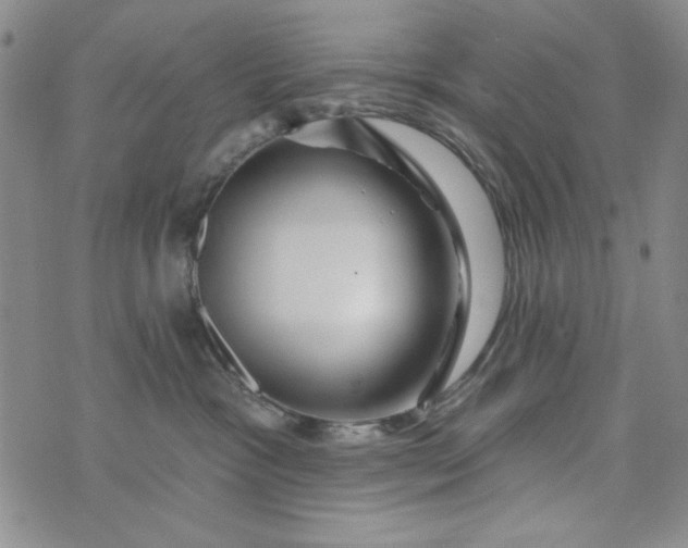 X0000076260333200610122236