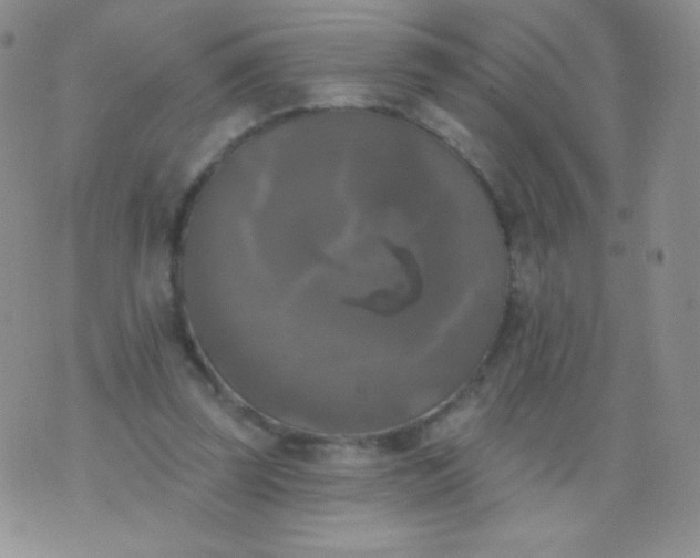 X0000076260347200610122236