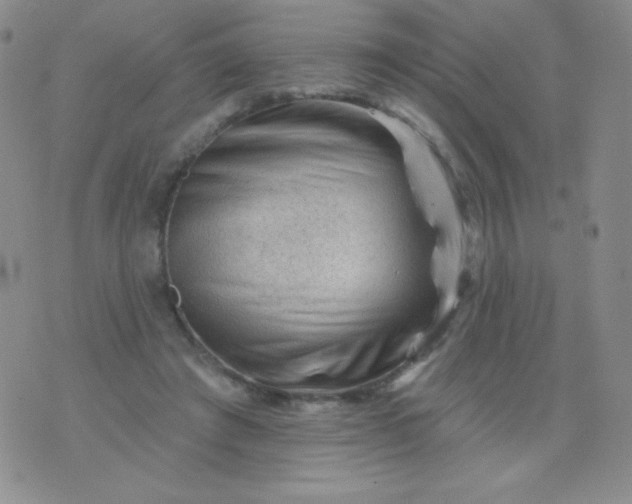 X0000076260401200610122235