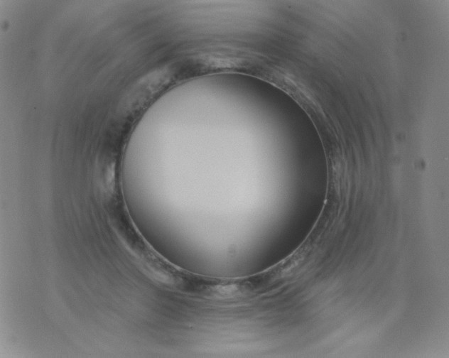 X0000076260406200610122235
