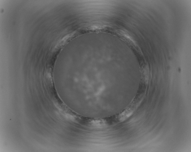 X0000076260415200610122235