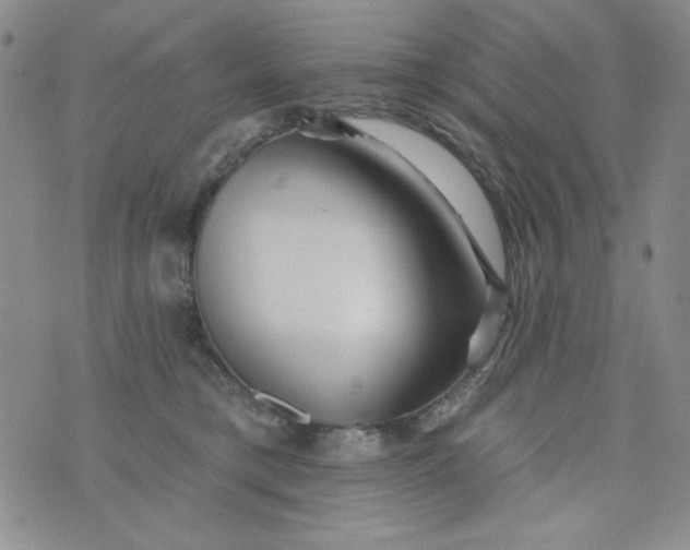 X0000076260421200610122235
