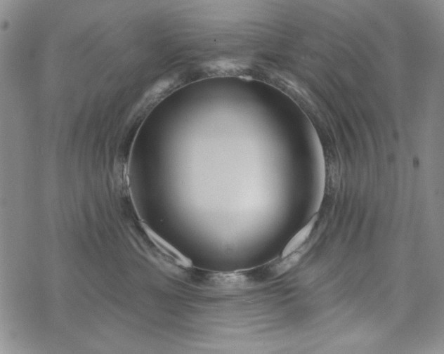 X0000076260429200610122235
