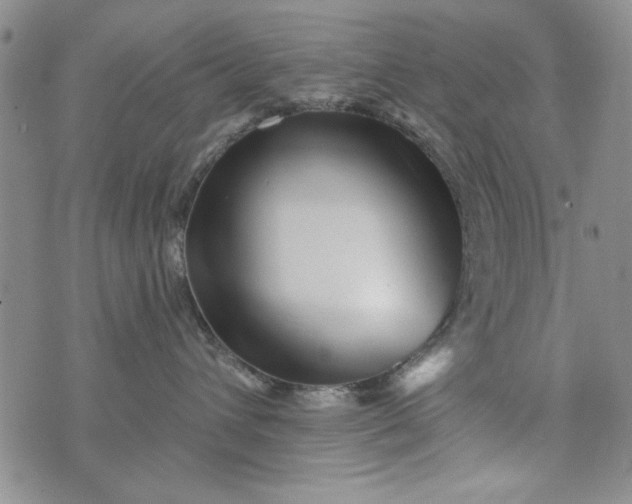 X0000076260432200610122235