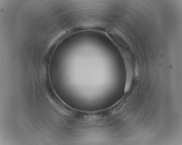 X0000076260448200610122234