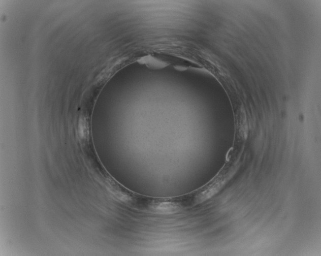 X0000076260467200610122234