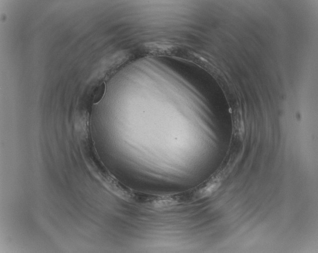 X0000076260468200610122234