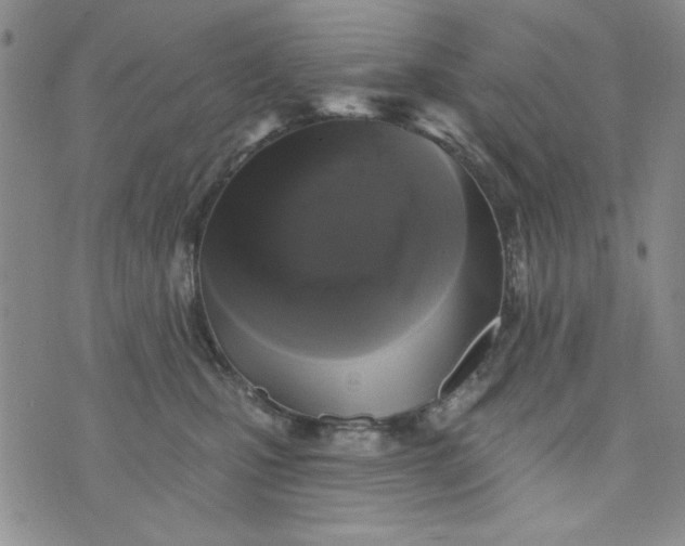 X0000076260471200610122234