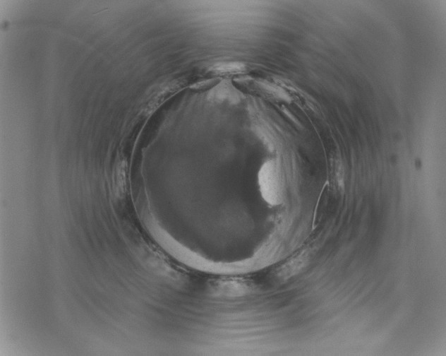 X0000076260475200610122235