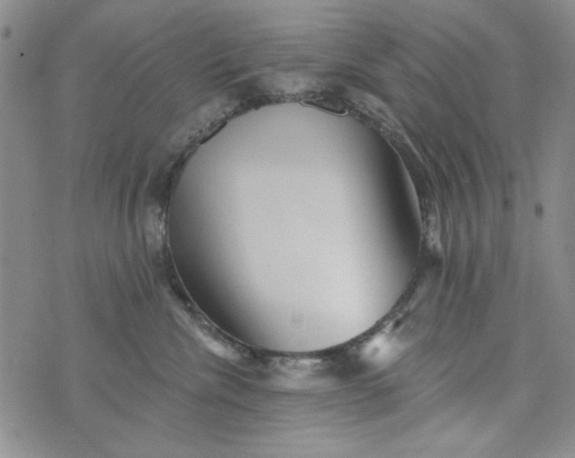 X0000076260476200610122235