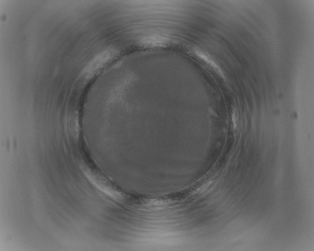 X0000076260494200610122234