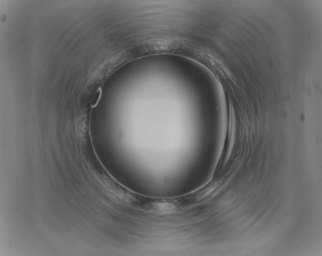 X0000076260509200610122233