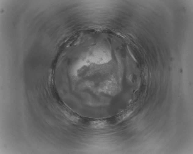 X0000076260511200610122233