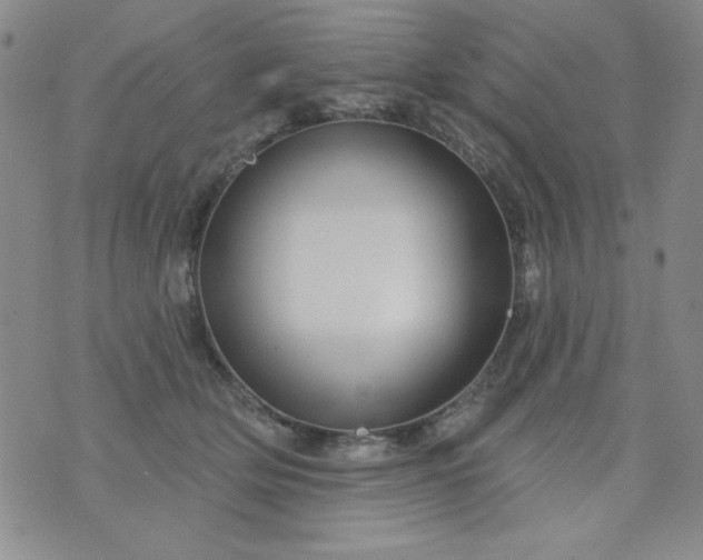 X0000076260514200610122233