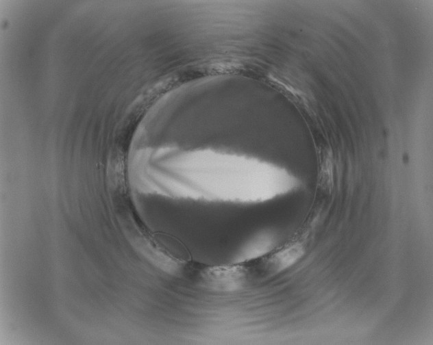 X0000076260526200610122233
