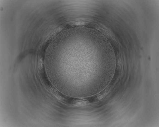 X0000076260555200610122233