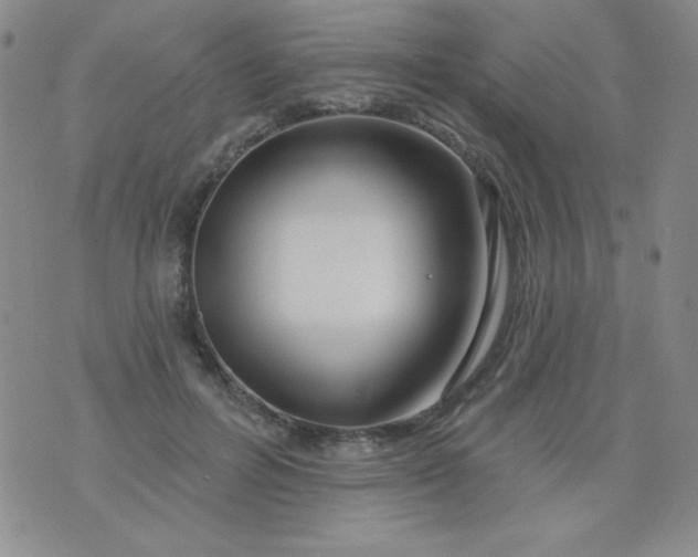 X0000076260600200610122232