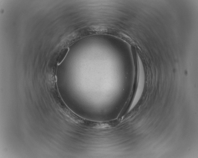 X0000076260609200610122232