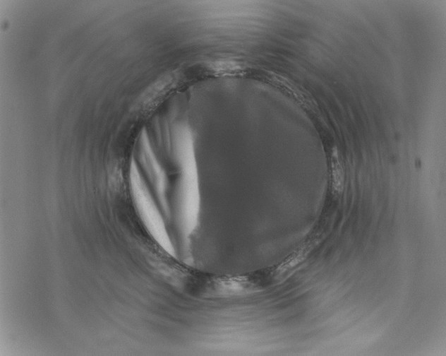 X0000076260618200610122232