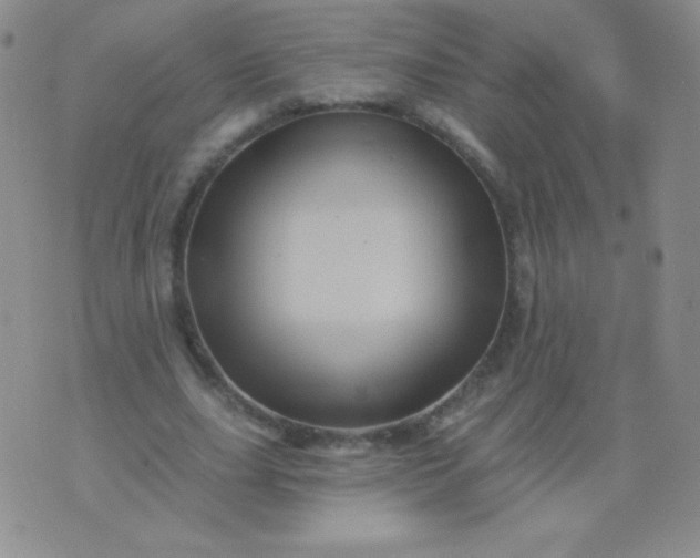 X0000076260631200610122231