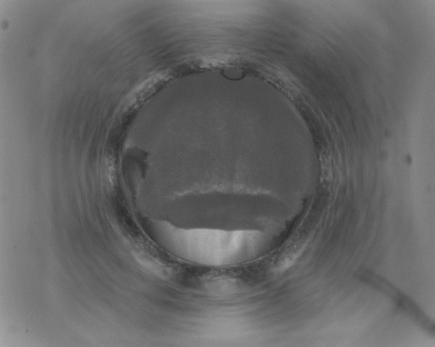 X0000076260648200610122231
