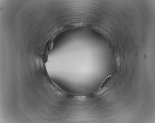 X0000076260665200610122231