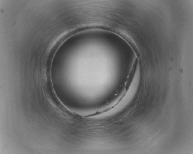 X0000076260676200610122231