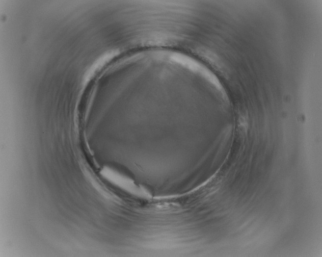 X0000076260678200610122231