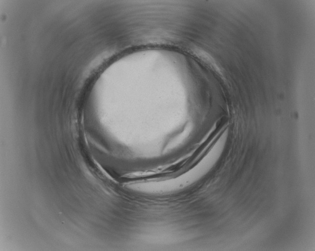 X0000076260680200610122231