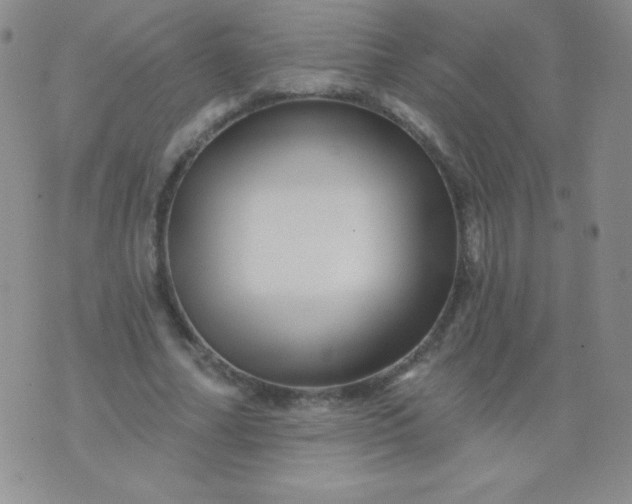 X0000076260682200610122231