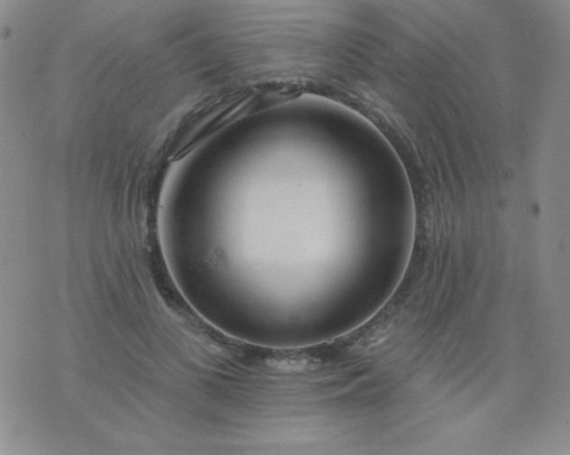 X0000076260693200610122230