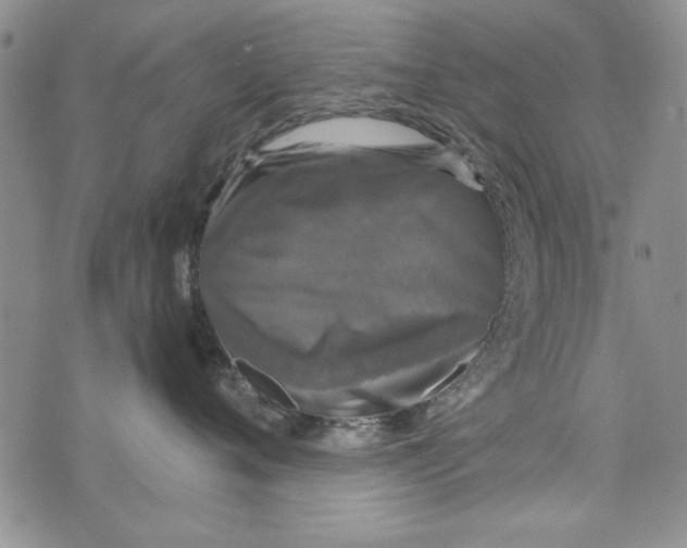 X0000076260720200610122230