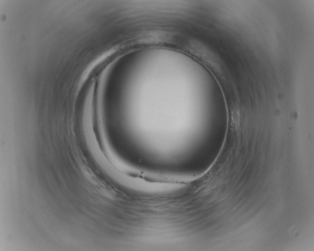 X0000076260724200610122229