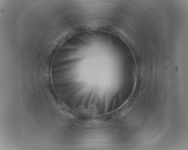 X0000076260737200610122229
