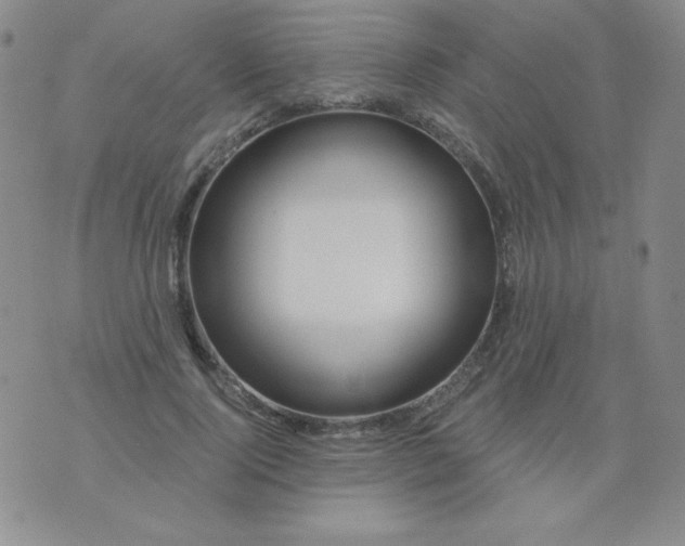 X0000076260740200610122230