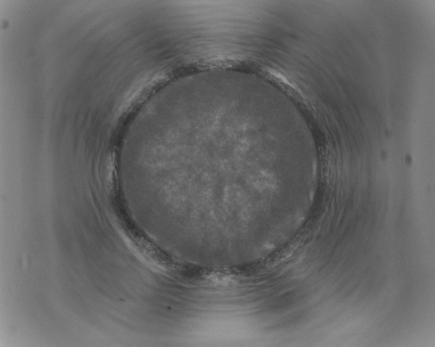 X0000076260742200610122230