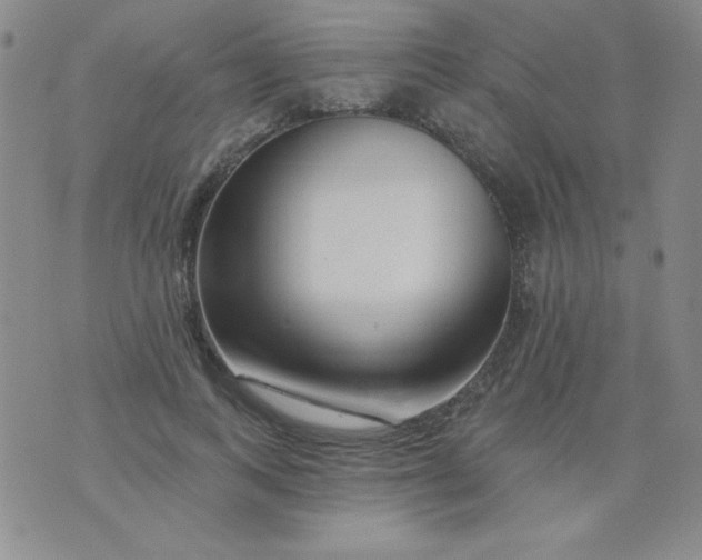 X0000076260743200610122230