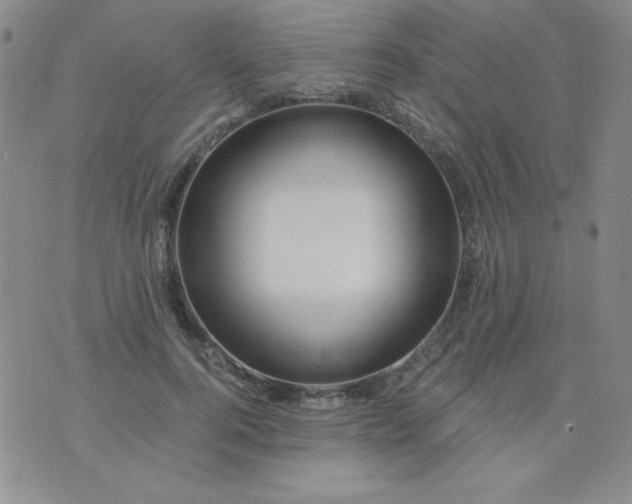 X0000076260744200610122230