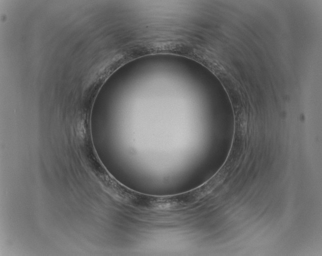 X0000076260746200610122230