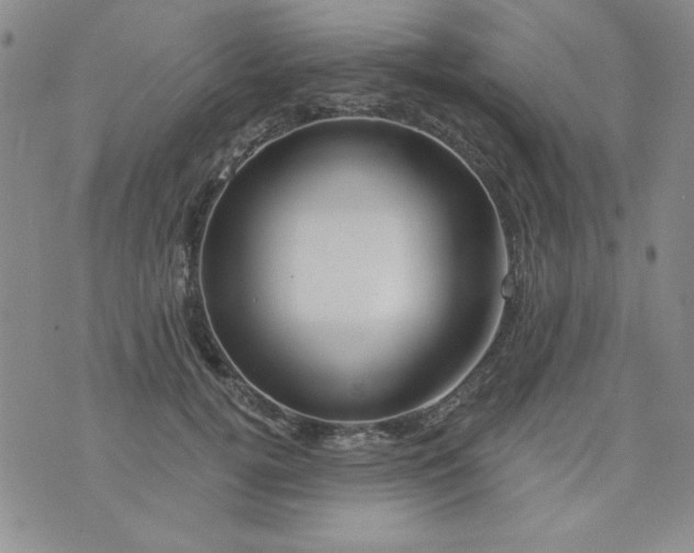 X0000076260752200610122230