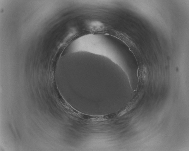 X0000076260763200610122230