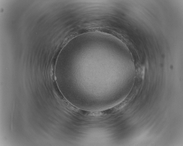 X0000076260767200610122230