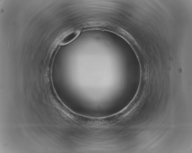 X0000076260786200610122229