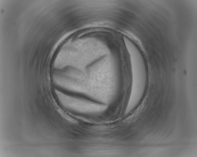 X0000076260792200610122229
