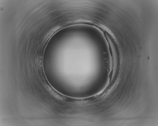 X0000076260793200610122229