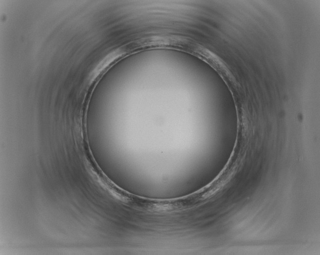 X0000076260794200610122229