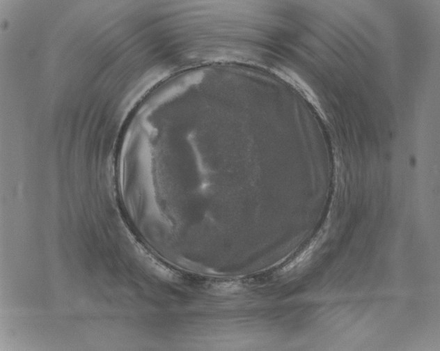 X0000076260798200610122229
