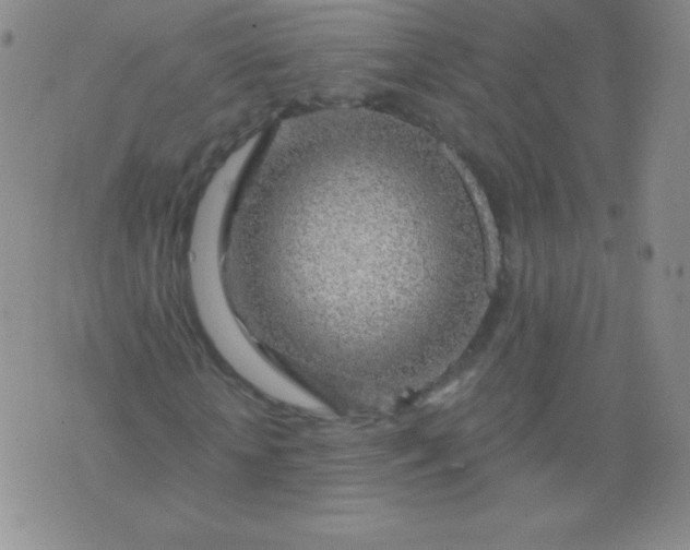 X0000076260818200610122228