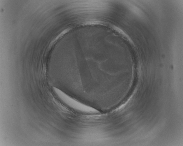 X0000076260825200610122228